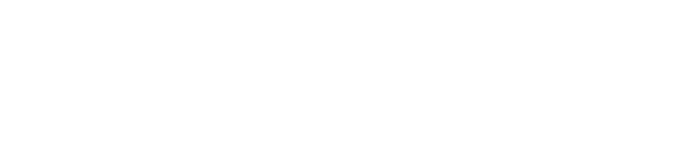 WOKER PRO